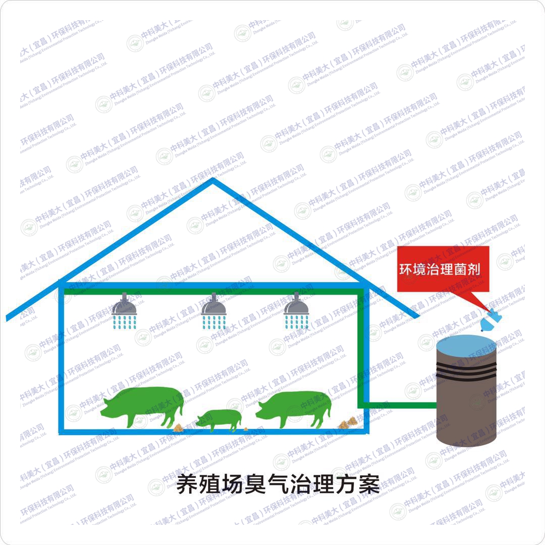 &#20061;&#28216;&#28216;&#25103;&#23448;&#32593;&#45;&#20061;&#28216;&#65288;&#20013;&#22269;&#65289;